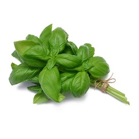 Basil Basil