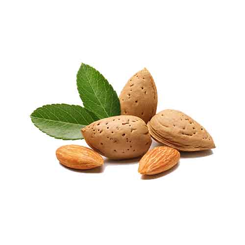 Bitter Almond Bitter Almond