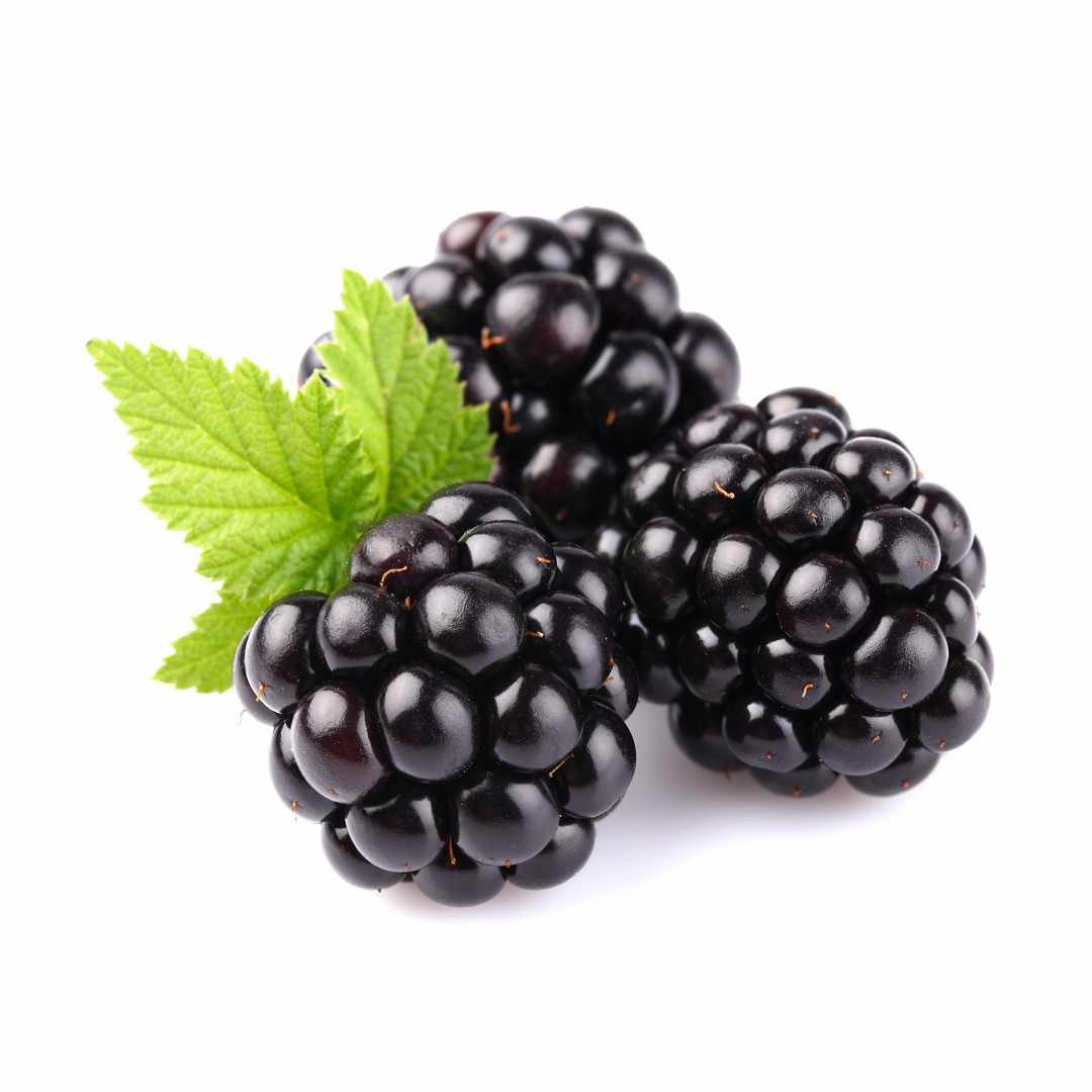 Blackberry Blackberry