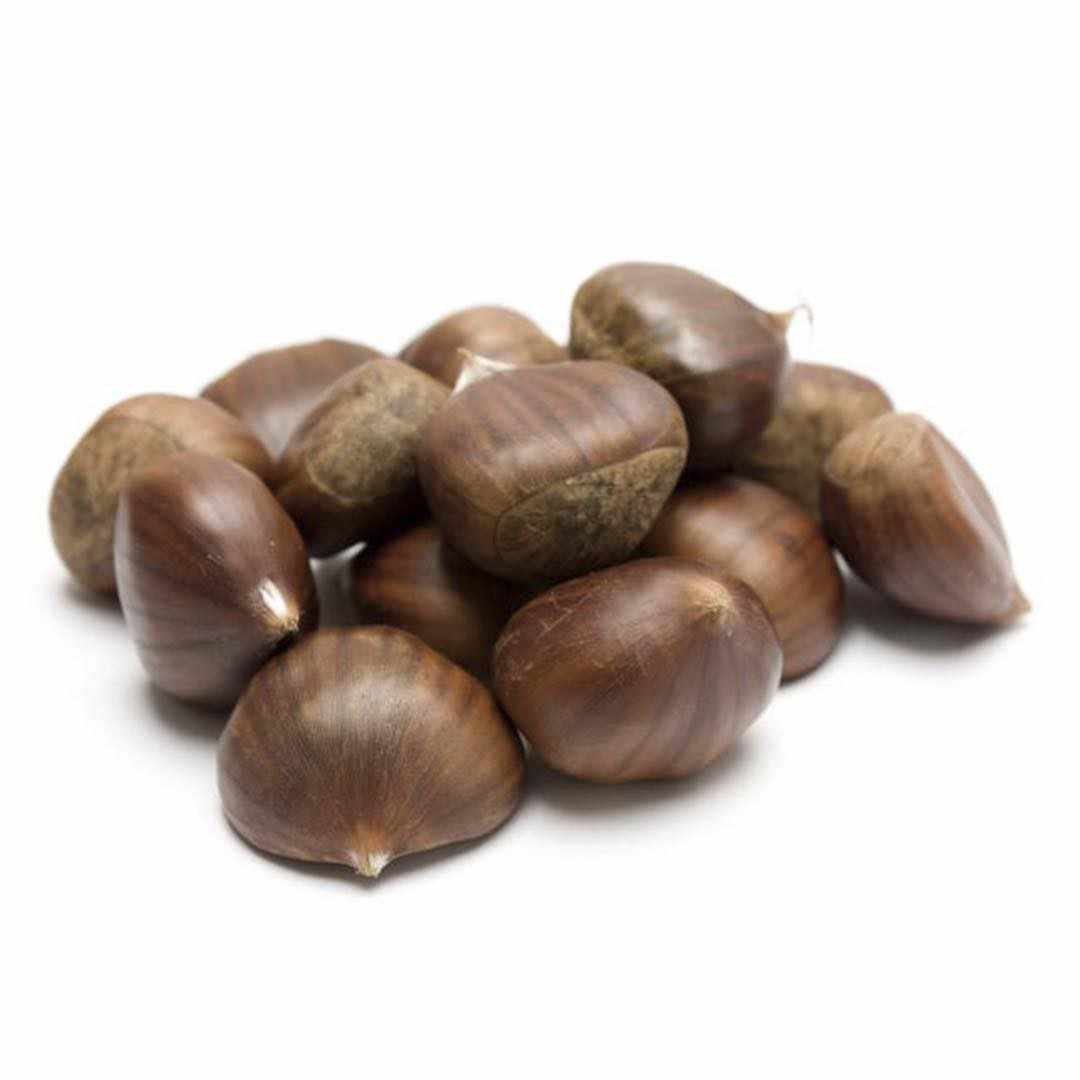 Chestnut Chestnut