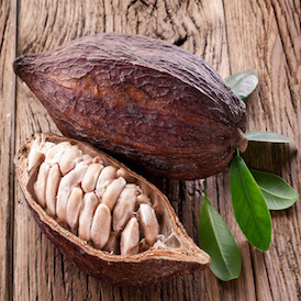 Cocoa Pod Cocoa Pod