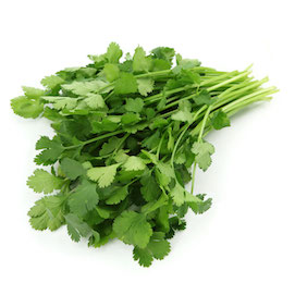 Coriander Coriander