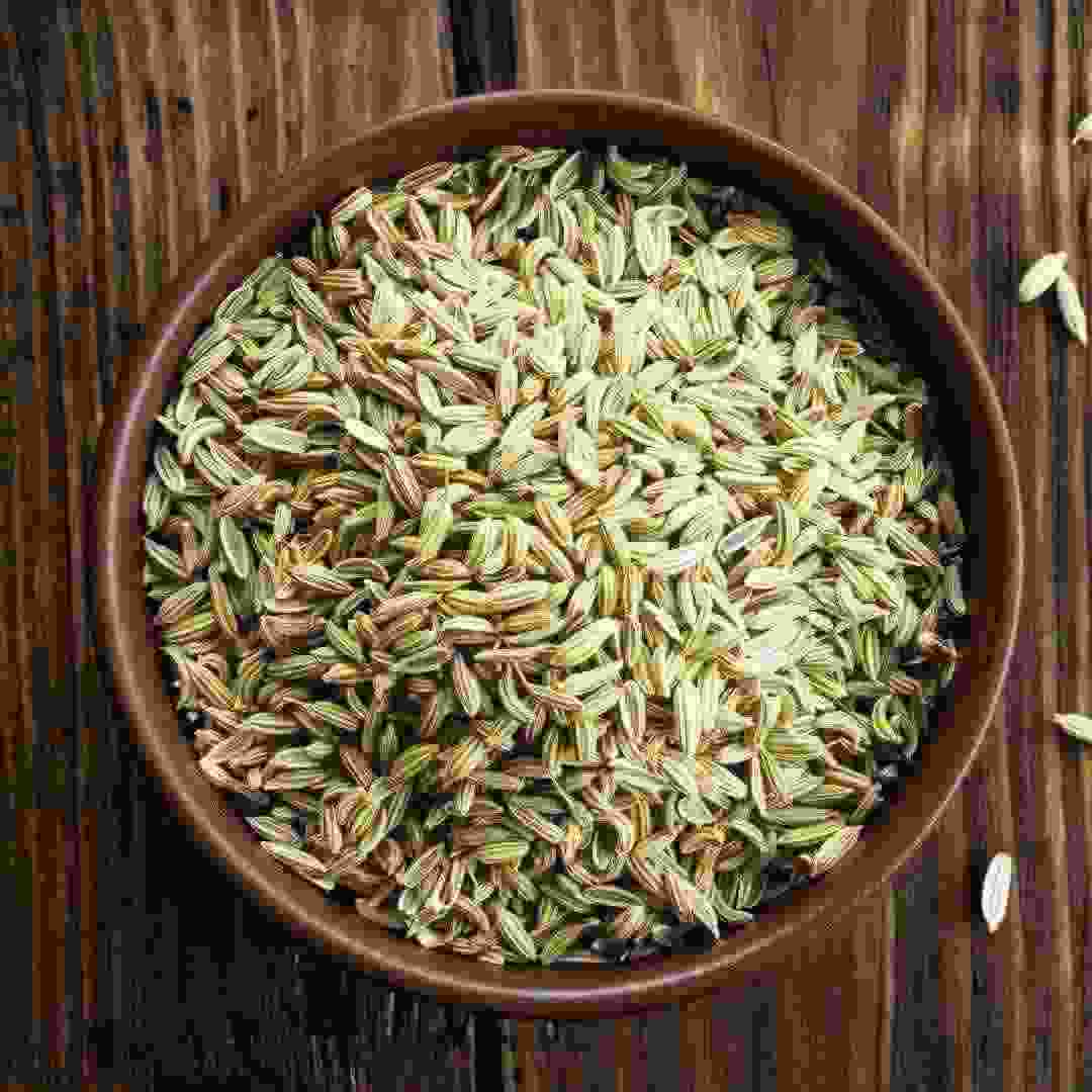 Fennel Fennel