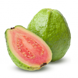 Guava Guava