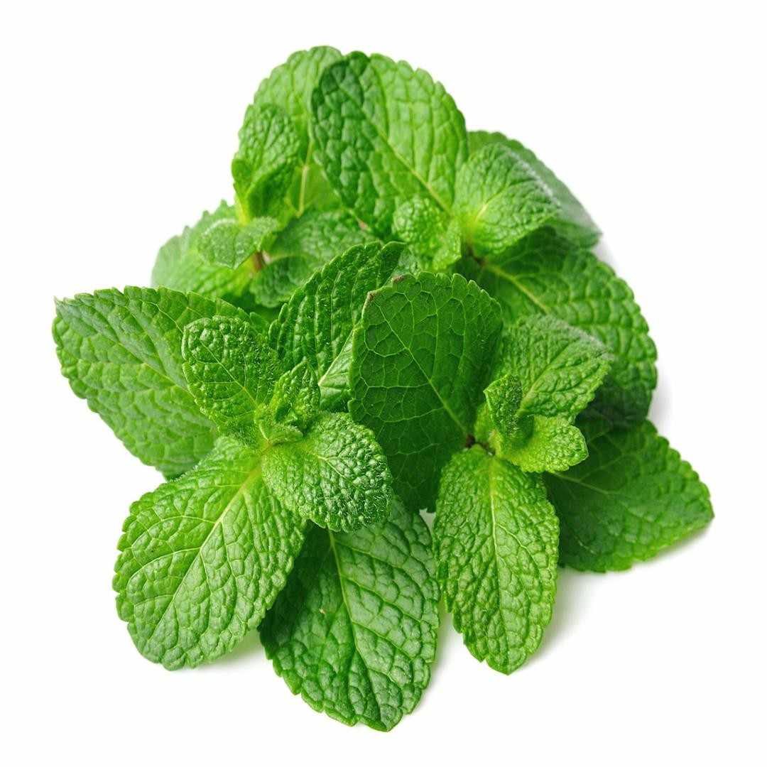 Mint Mint
