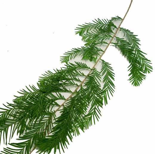 Cypress Cypress