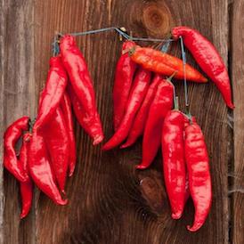 Paprika Paprika