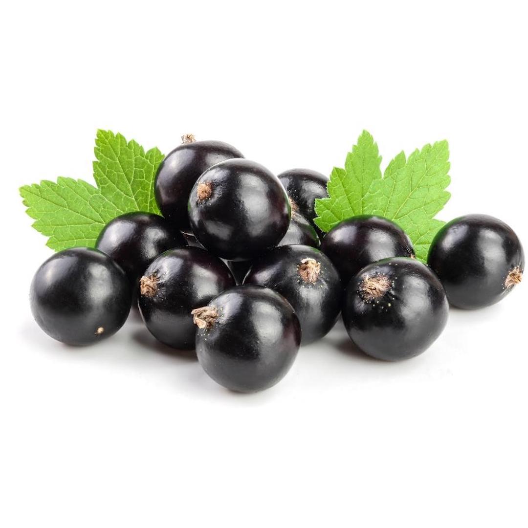Cassis Cassis