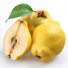 Quince Quince