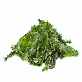 Seaweed Seaweed