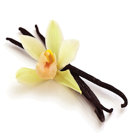 Vanilla Vanilla